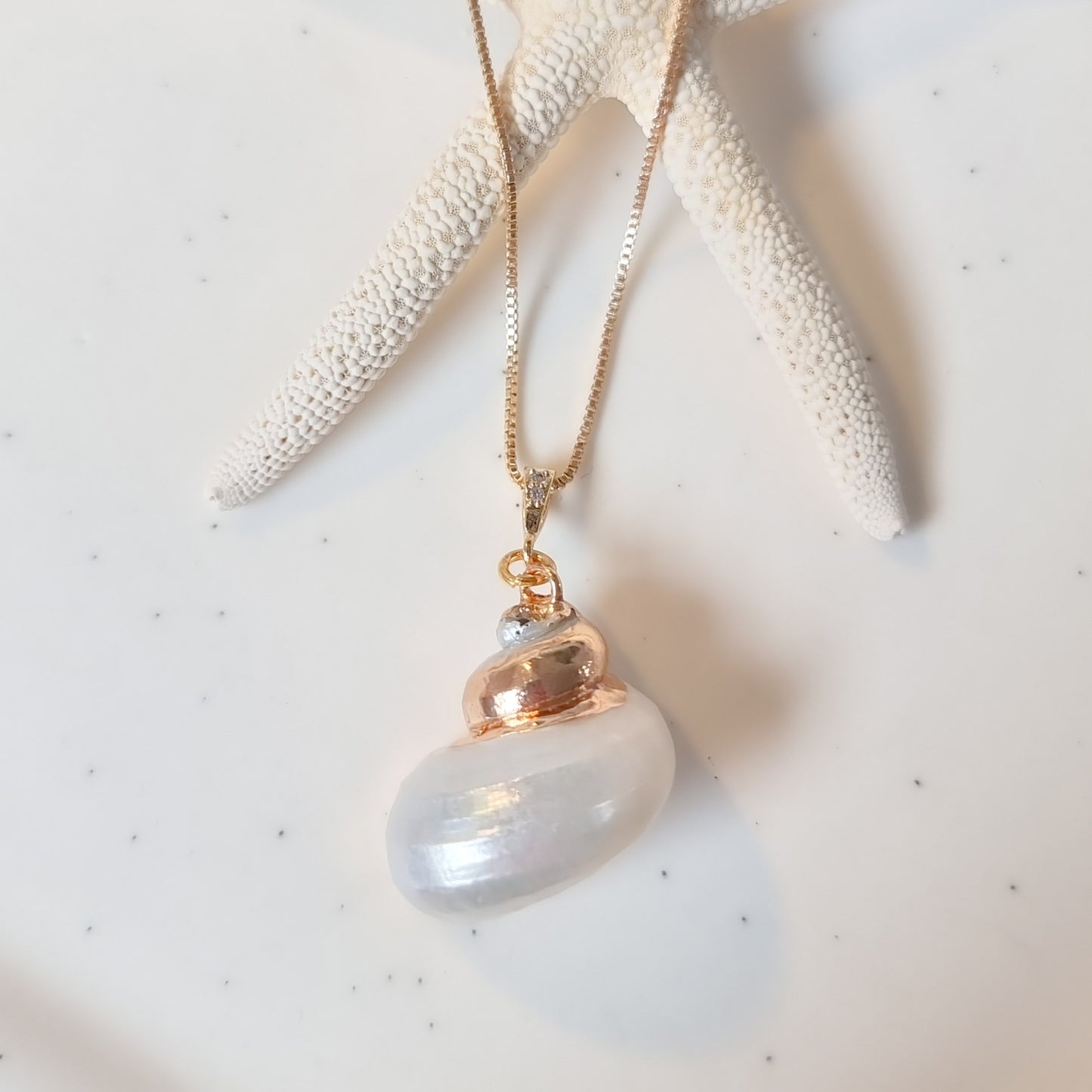Ketting 24kt Verguld | Nautilus Shell
